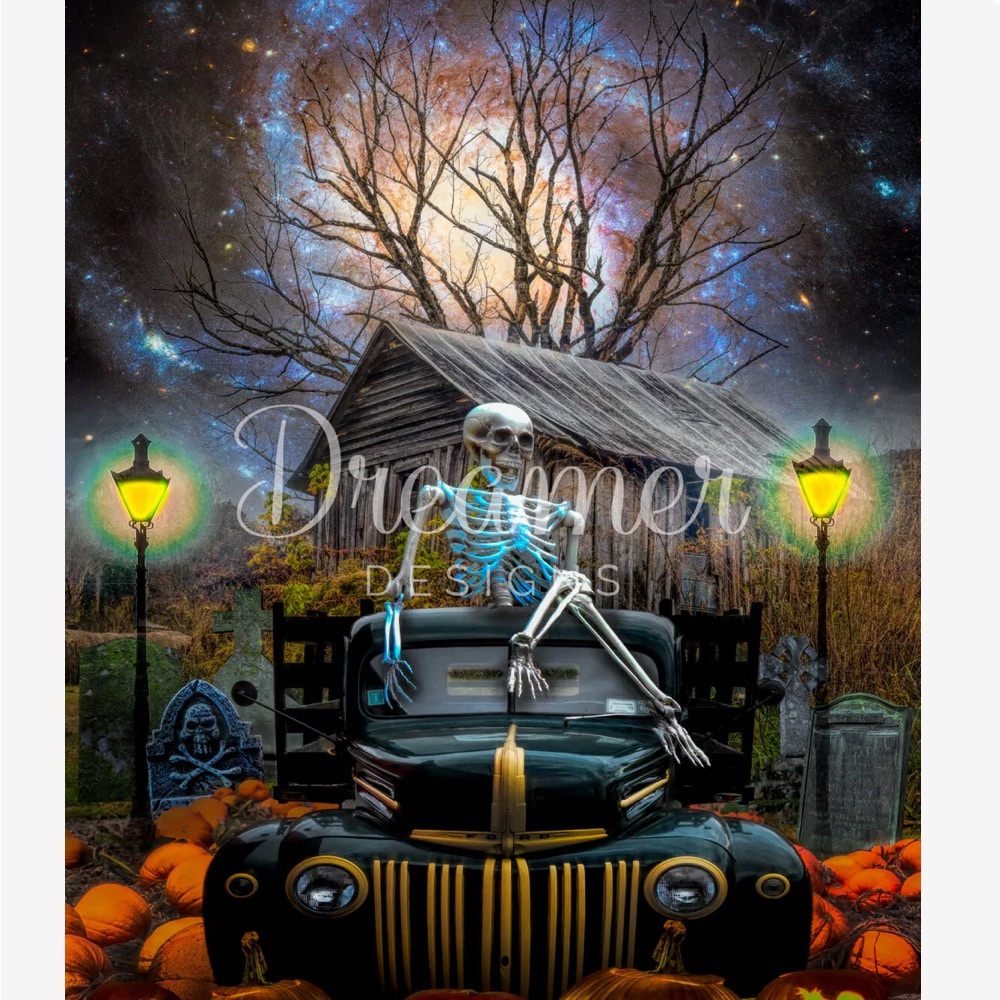 Dreamer Designs Halloween Diamond art